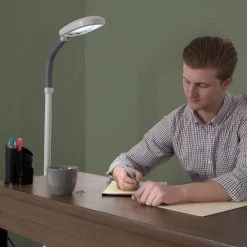 60 in. Natural Full Spectrum Sunlight Gooseneck Floor Lamp in Beige by Lavish Home -BLACK DECKER store beige lavish home floor lamps w020081 1f 1000