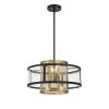 Soho 4-Light Coal and Soft Brass Cage Pendant to Flush Mount with Clear Glass Shade by Metropolitan -BLACK DECKER store coal and soft brass metropolitan chandeliers n7814 726 64 1000
