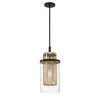 Soho 1-Light Coal and Soft Brass Cage Mini-Pendant with Clear Glass Shade by Metropolitan -BLACK DECKER store coal and soft brass metropolitan pendant lights n7811 726 64 1000