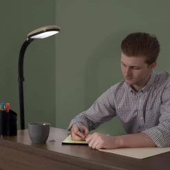 63.5 in. Natural Full Spectrum Sunlight Gooseneck Floor Lamp in Light Woodgrain by Lavish Home -BLACK DECKER store light lavish home floor lamps w020106 1f 1000